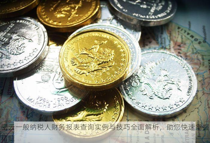 密云一般纳税人财务报表查询实例与技巧全面解析，助您快速掌握精髓