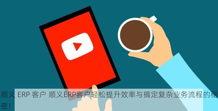 顺义 ERP 客户 顺义ERP客户轻松提升效率与搞定复杂业务流程的秘密！