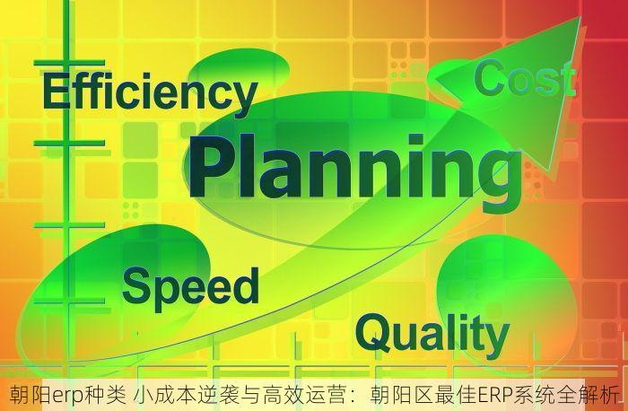 朝阳erp种类 小成本逆袭与高效运营：朝阳区最佳ERP系统全解析