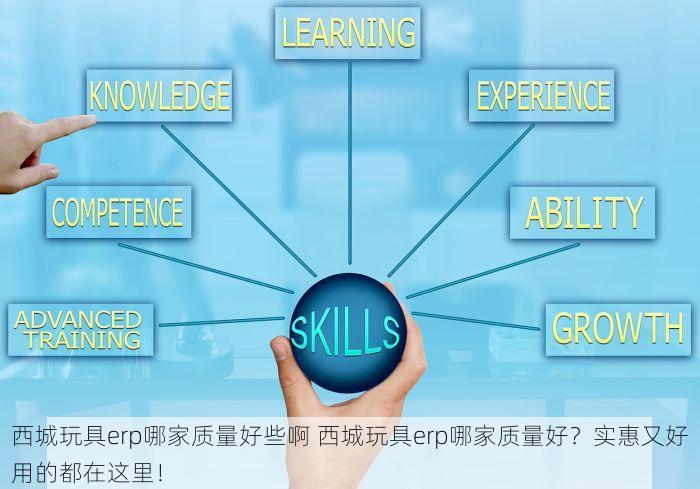 西城玩具erp哪家质量好些啊 西城玩具erp哪家质量好？实惠又好用的都在这里！