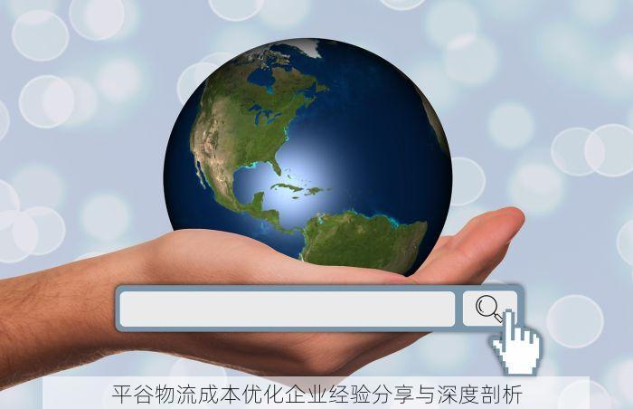 平谷物流成本优化企业经验分享与深度剖析