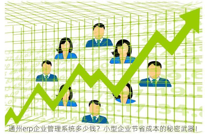 通州erp企业管理系统多少钱？小型企业节省成本的秘密武器！