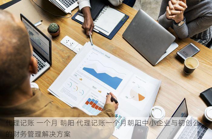 代理记账 一个月 朝阳 代理记账一个月朝阳中小企业与初创公司的财务管理解决方案