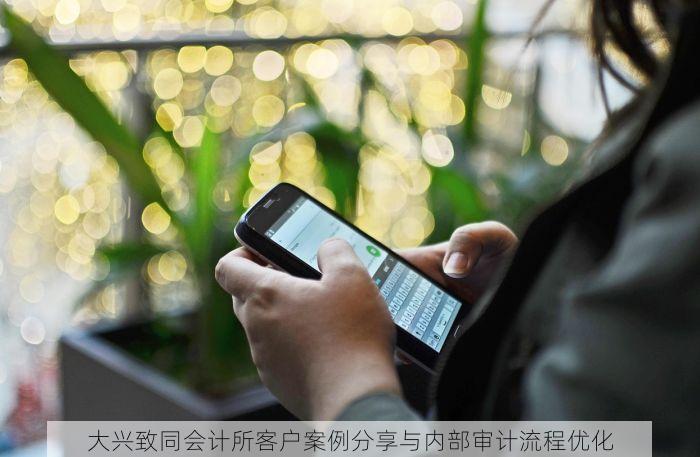 大兴致同会计所客户案例分享与内部审计流程优化