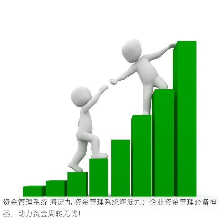 资金管理系统 海淀九 资金管理系统海淀九：企业资金管理必备神器，助力资金周转无忧！