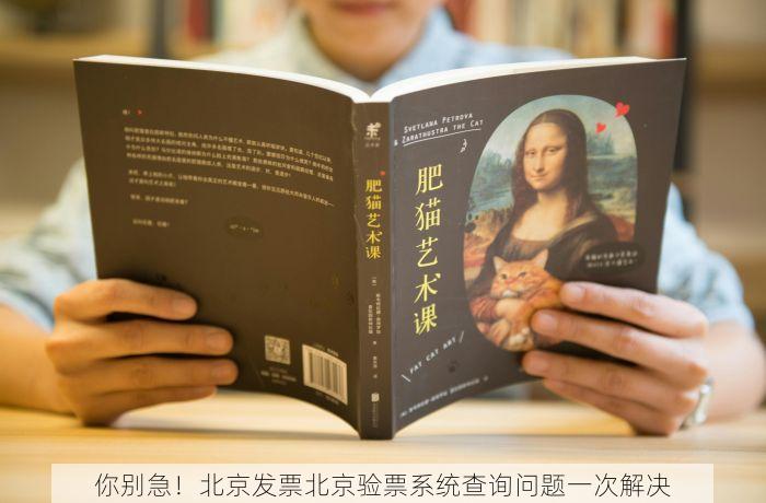 你别急！北京发票北京验票系统查询问题一次解决