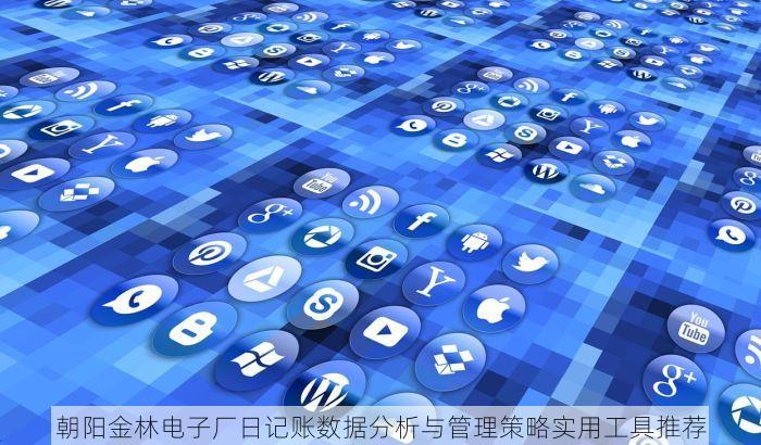 朝阳金林电子厂日记账数据分析与管理策略实用工具推荐