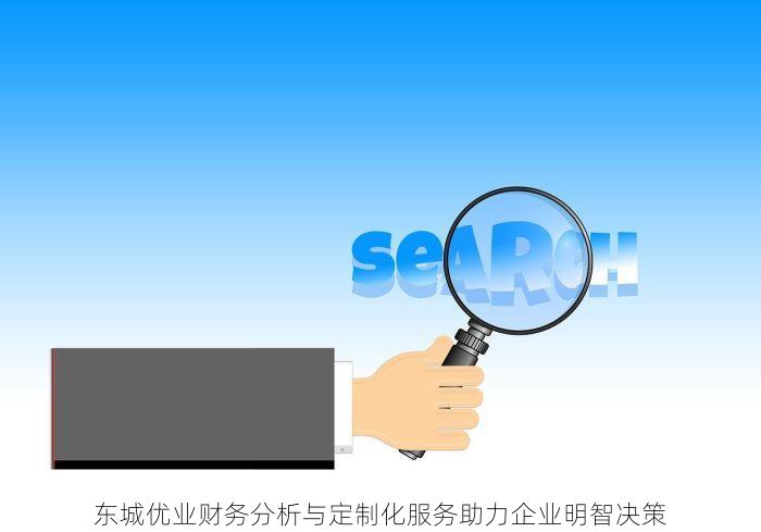 东城优业财务分析与定制化服务助力企业明智决策