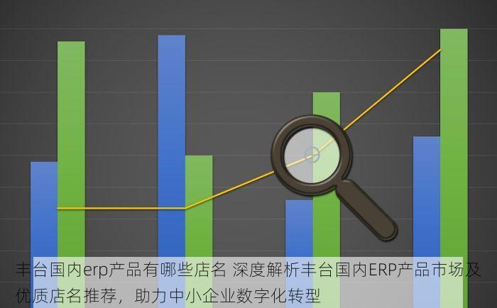 丰台国内erp产品有哪些店名 深度解析丰台国内ERP产品市场及优质店名推荐，助力中小企业数字化转型