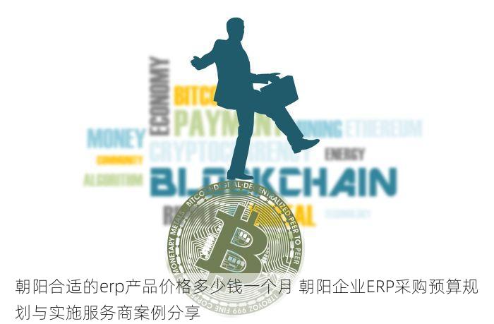 朝阳合适的erp产品价格多少钱一个月 朝阳企业ERP采购预算规划与实施服务商案例分享