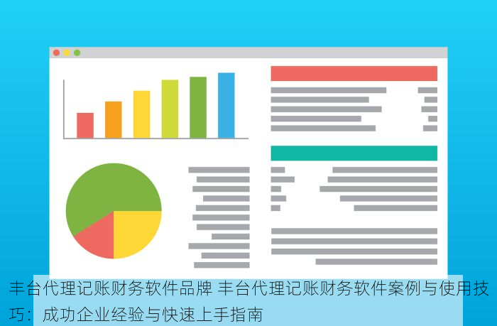 丰台代理记账财务软件品牌 丰台代理记账财务软件案例与使用技巧：成功企业经验与快速上手指南