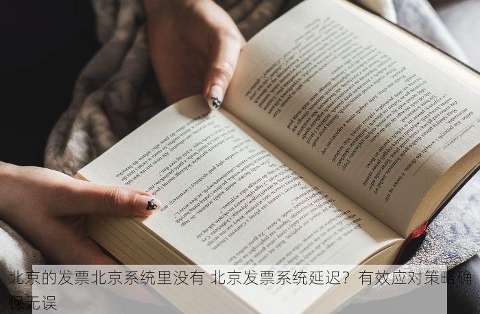 北京的发票北京系统里没有 北京发票系统延迟？有效应对策略确保无误