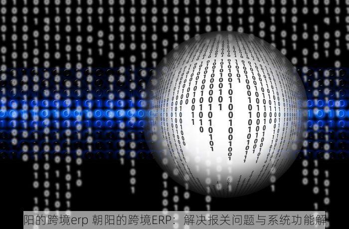 朝阳的跨境erp 朝阳的跨境ERP：解决报关问题与系统功能解析