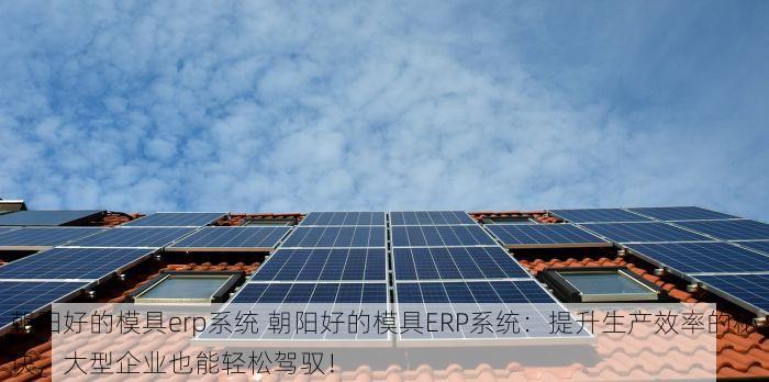 朝阳好的模具erp系统 朝阳好的模具ERP系统：提升生产效率的秘诀，大型企业也能轻松驾驭！