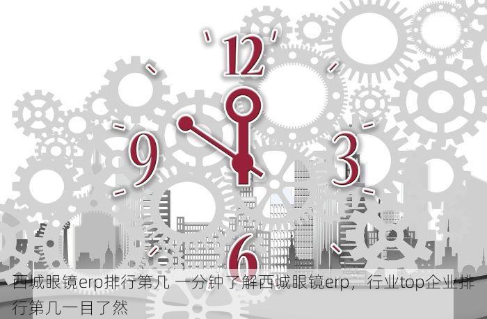 西城眼镜erp排行第几 一分钟了解西城眼镜erp，行业top企业排行第几一目了然