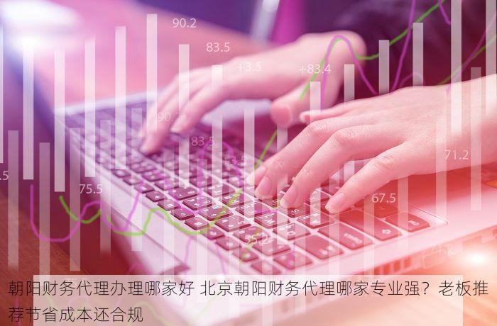 朝阳财务代理办理哪家好 北京朝阳财务代理哪家专业强？老板推荐节省成本还合规