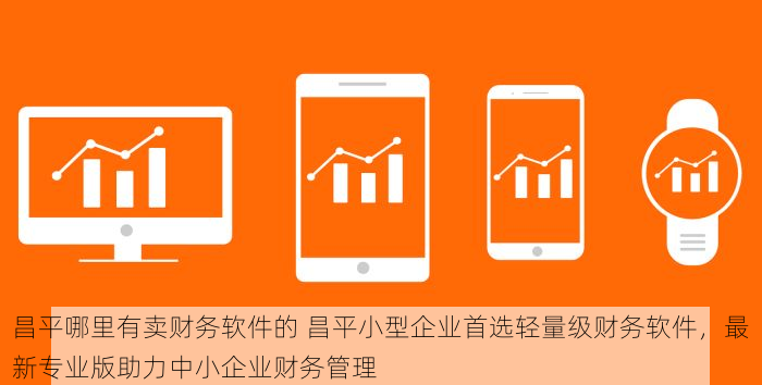 昌平哪里有卖财务软件的 昌平小型企业首选轻量级财务软件，最新专业版助力中小企业财务管理
