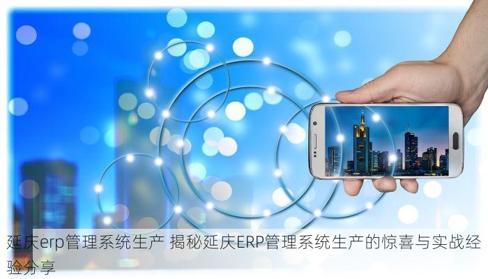 延庆erp管理系统生产 揭秘延庆ERP管理系统生产的惊喜与实战经验分享