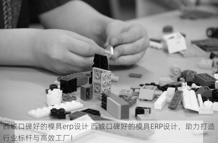 西城口碑好的模具erp设计 西城口碑好的模具ERP设计，助力打造行业标杆与高效工厂！