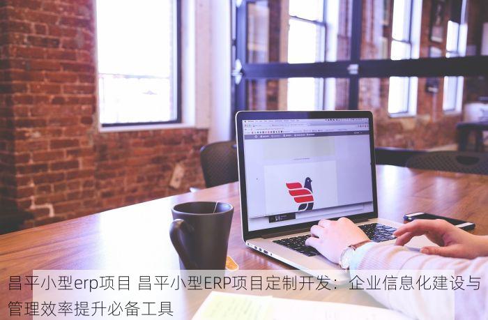 昌平小型erp项目 昌平小型ERP项目定制开发：企业信息化建设与管理效率提升必备工具