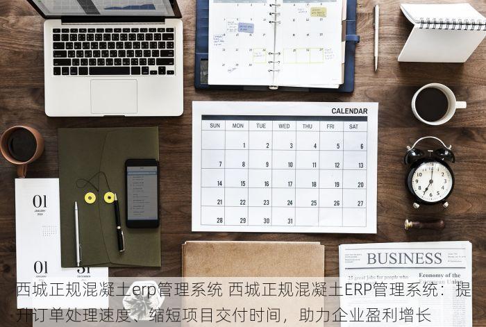 西城正规混凝土erp管理系统 西城正规混凝土ERP管理系统：提升订单处理速度、缩短项目交付时间，助力企业盈利增长