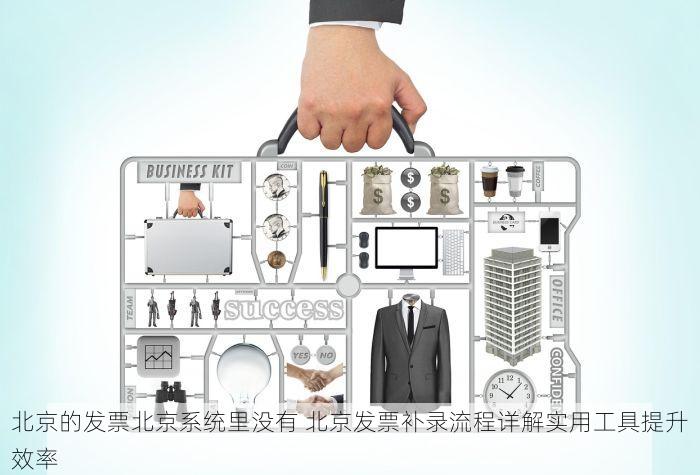 北京的发票北京系统里没有 北京发票补录流程详解实用工具提升效率