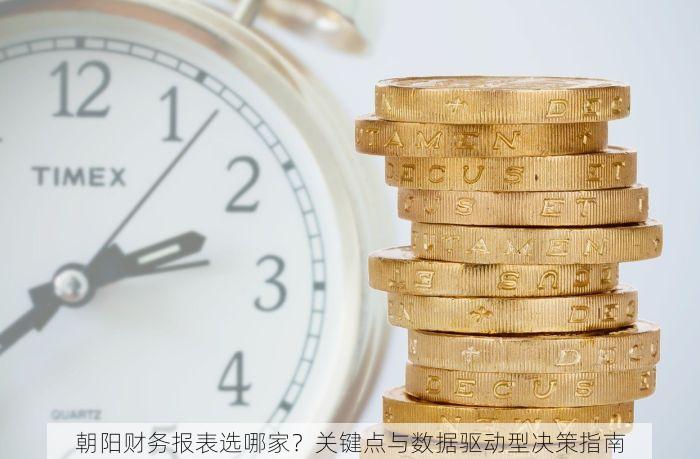 朝阳财务报表选哪家？关键点与数据驱动型决策指南