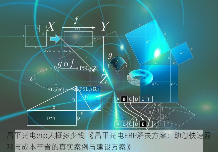 昌平光电erp大概多少钱 《昌平光电ERP解决方案：助您快速盈利与成本节省的真实案例与建设方案》