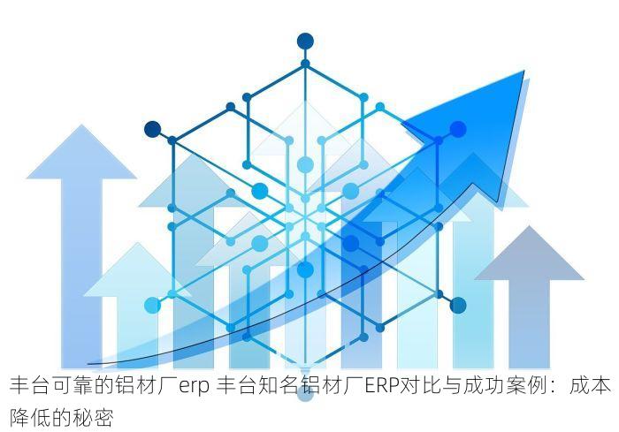 丰台可靠的铝材厂erp 丰台知名铝材厂ERP对比与成功案例：成本降低的秘密