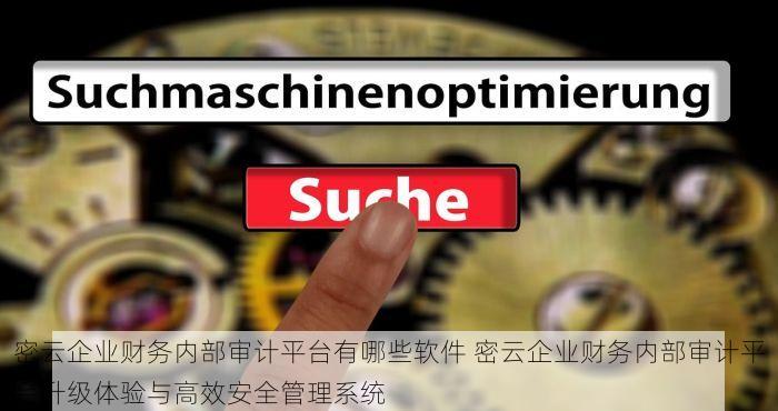 密云企业财务内部审计平台有哪些软件 密云企业财务内部审计平台升级体验与高效安全管理系统