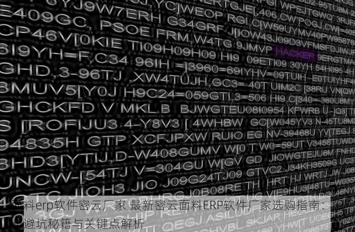 面料erp软件密云厂家 最新密云面料ERP软件厂家选购指南：三步避坑秘籍与关键点解析
