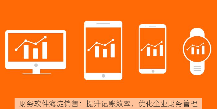 财务软件海淀销售：提升记账效率，优化企业财务管理