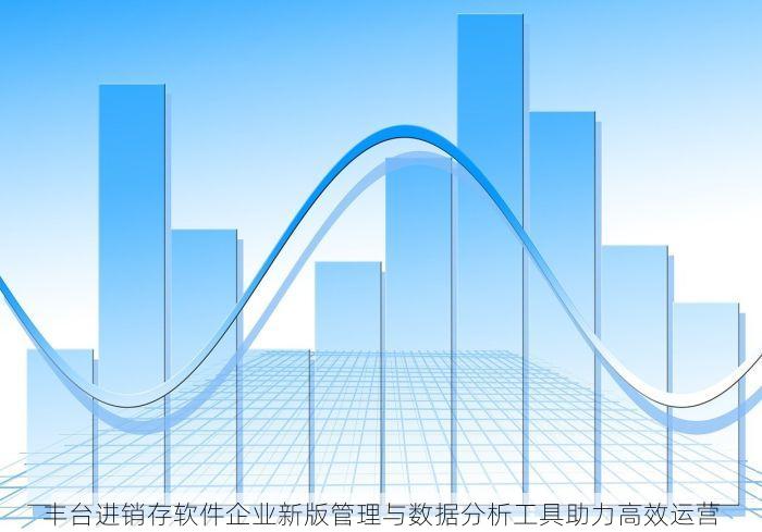 丰台进销存软件企业新版管理与数据分析工具助力高效运营