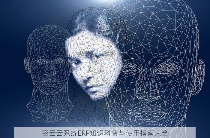 密云云系统ERP知识科普与使用指南大全