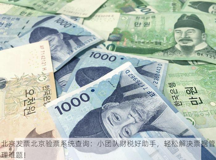 北京发票北京验票系统查询：小团队财税好助手，轻松解决票据管理难题！