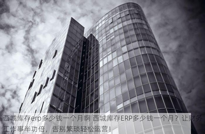 西城库存erp多少钱一个月啊 西城库存ERP多少钱一个月？让财务工作事半功倍，告别繁琐轻松运营！