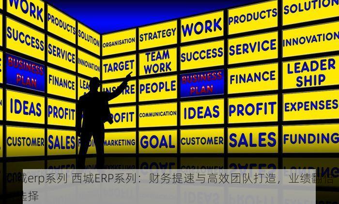 西城erp系列 西城ERP系列：财务提速与高效团队打造，业绩翻倍新选择