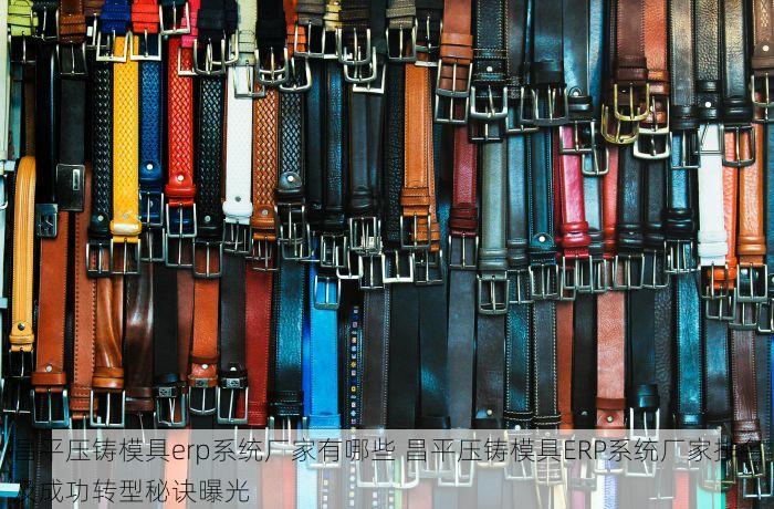昌平压铸模具erp系统厂家有哪些 昌平压铸模具ERP系统厂家排名及成功转型秘诀曝光