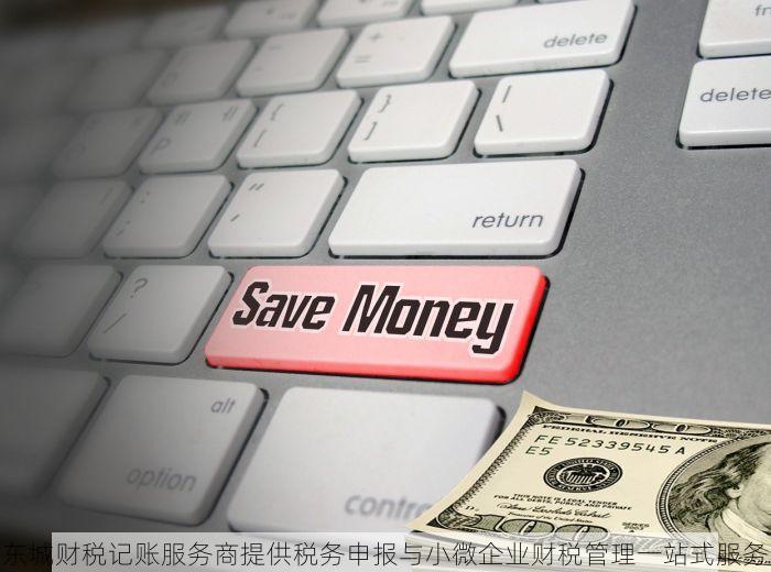 东城财税记账服务商提供税务申报与小微企业财税管理一站式服务