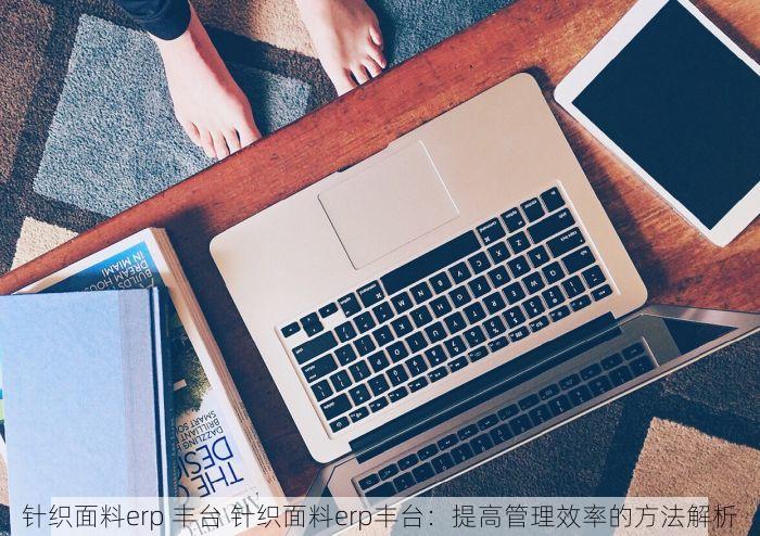 针织面料erp 丰台 针织面料erp丰台：提高管理效率的方法解析