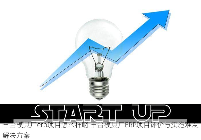 丰台模具厂erp项目怎么样啊 丰台模具厂ERP项目评价与实施难点解决方案