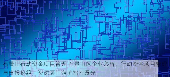 石景山行动资金项目管理 石景山区企业必备！行动资金项目管理与申报秘籍，资深顾问避坑指南曝光