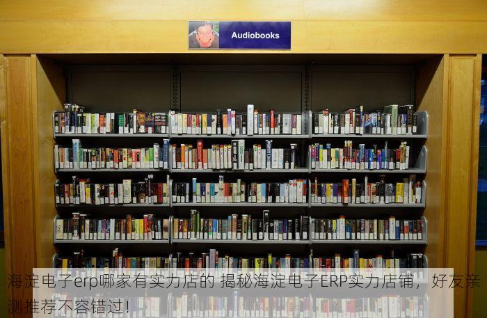 海淀电子erp哪家有实力店的 揭秘海淀电子ERP实力店铺，好友亲测推荐不容错过！