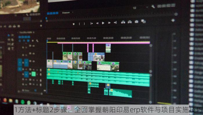 标题1方法+标题2步骤：全面掌握朝阳印易erp软件与项目实施技巧