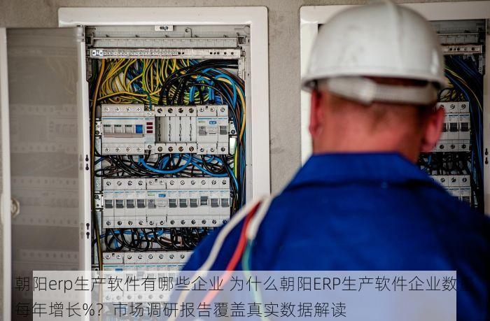 朝阳erp生产软件有哪些企业 为什么朝阳ERP生产软件企业数量每年增长%？市场调研报告覆盖真实数据解读
