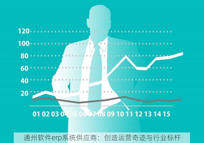 通州软件erp系统供应商：创造运营奇迹与行业标杆