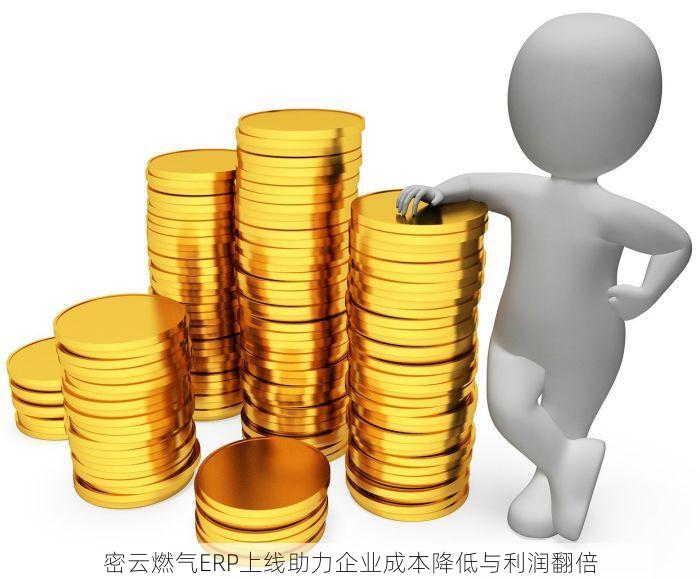 密云燃气ERP上线助力企业成本降低与利润翻倍