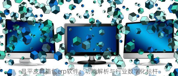 昌平皮具箱包erp软件：功能解析与行业数字化标杆