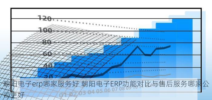 朝阳电子erp哪家服务好 朝阳电子ERP功能对比与售后服务哪家公司更好