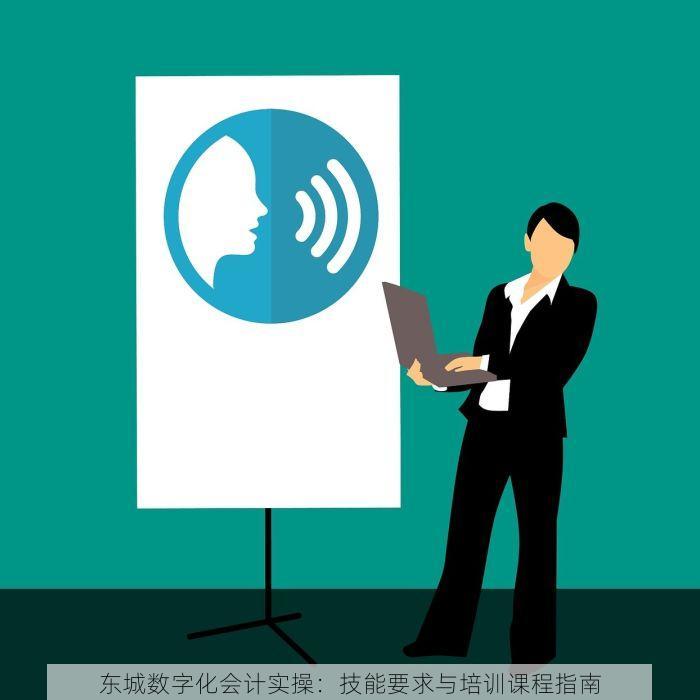 东城数字化会计实操：技能要求与培训课程指南